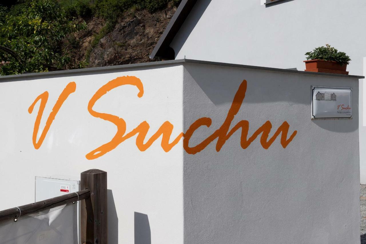Penzion V Suchu Český Krumlov Exterior foto